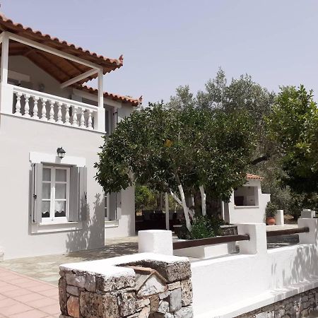 Villa Tillia Panormos  Exterior foto