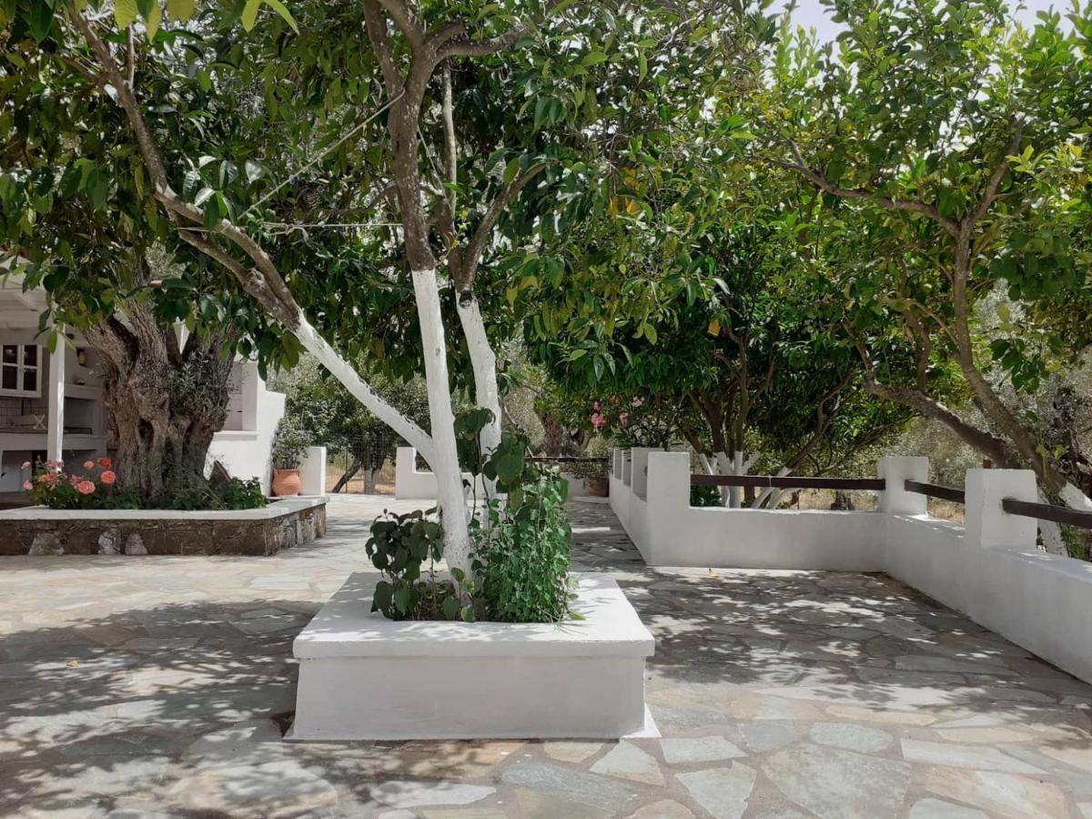 Villa Tillia Panormos  Exterior foto