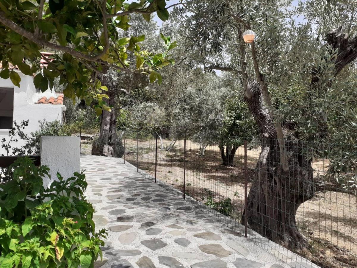 Villa Tillia Panormos  Exterior foto