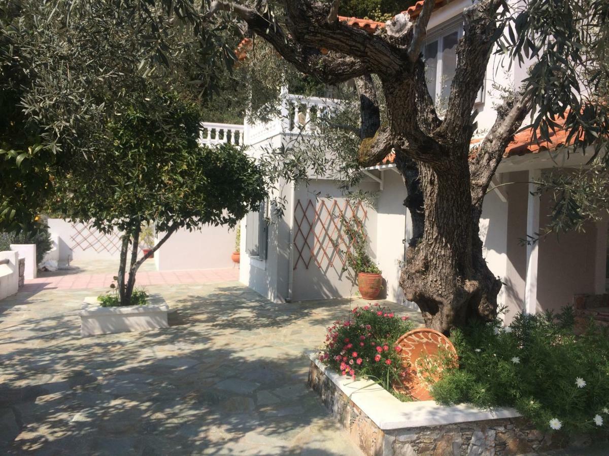 Villa Tillia Panormos  Exterior foto