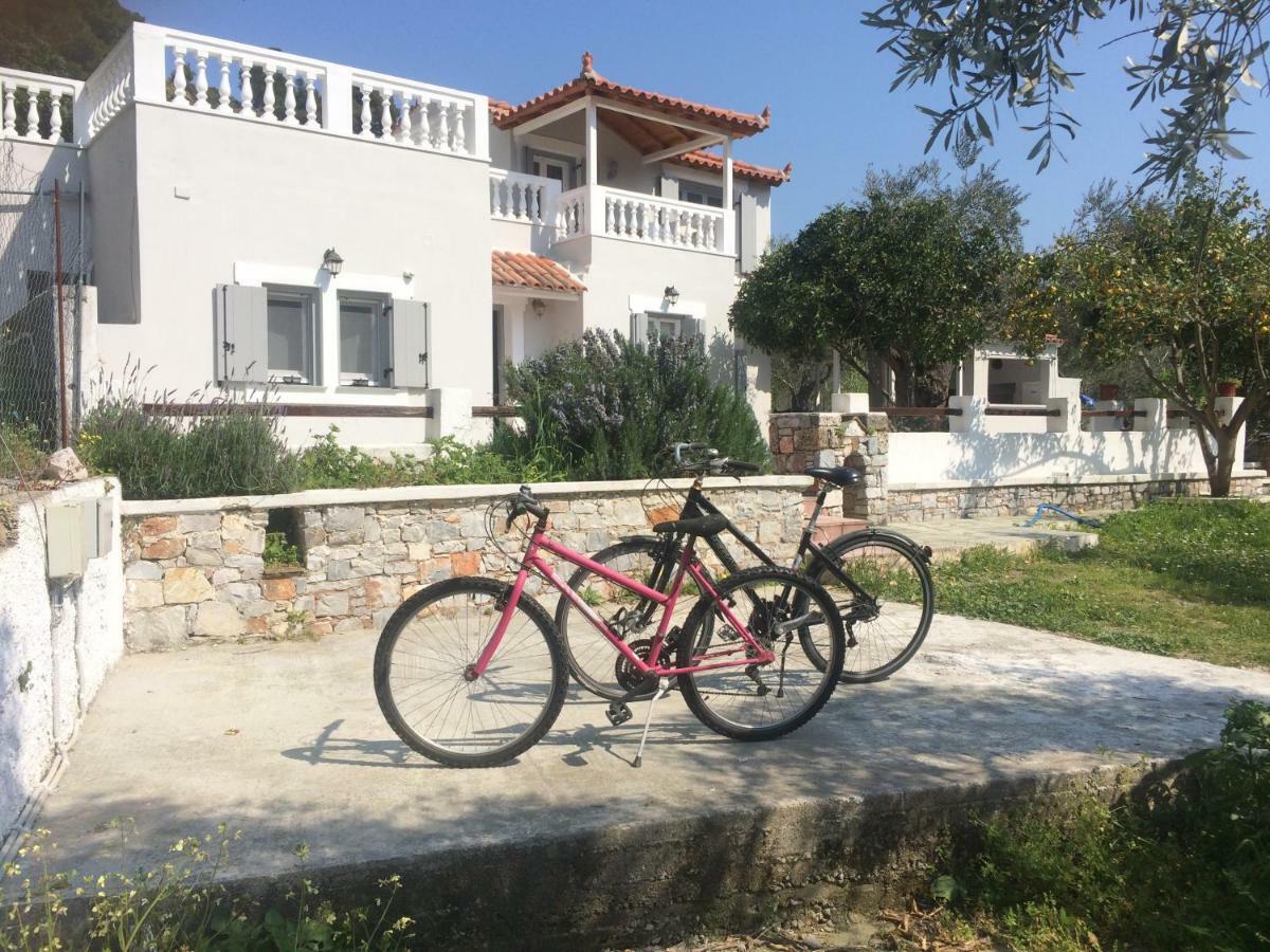 Villa Tillia Panormos  Exterior foto