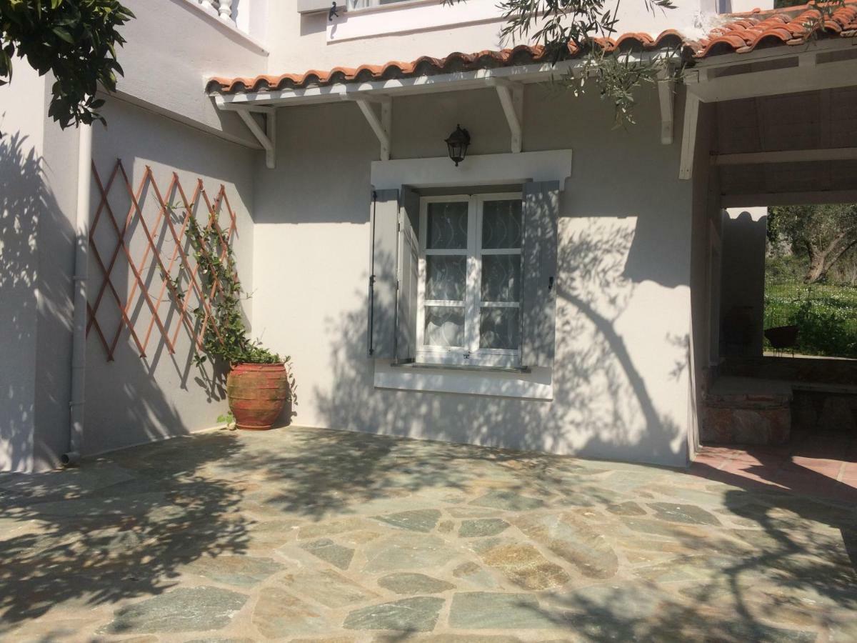 Villa Tillia Panormos  Exterior foto